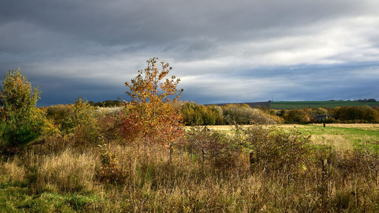 East Lothian Countryside