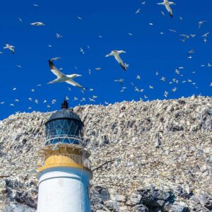 Bass rock - East Lothian - Balanced Horizon Bass rock - East Lothian - Balanced Horizon