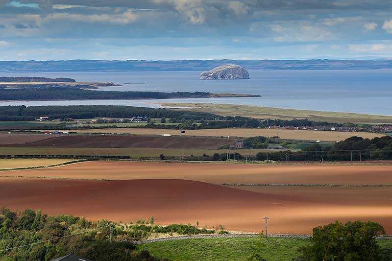 Muir to Forth - Balanced Horizon Muir to Forth - Balanced Horizon