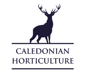 Calendonian Horticulture Calendonian Horticulture