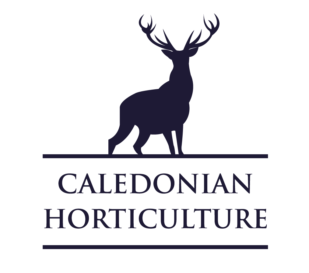 Calendonian Horticulture Calendonian Horticulture