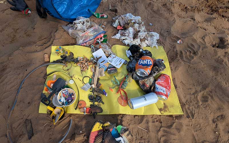 Beach Cleaning and Citizen Science