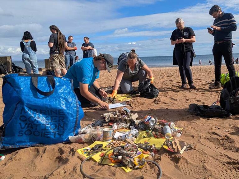 Beach Cleaning and Citizen Science
